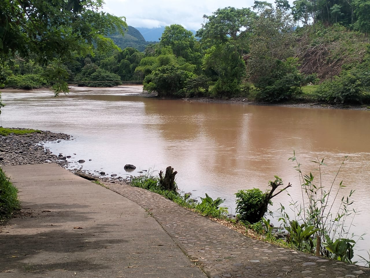 Foto de la ruta